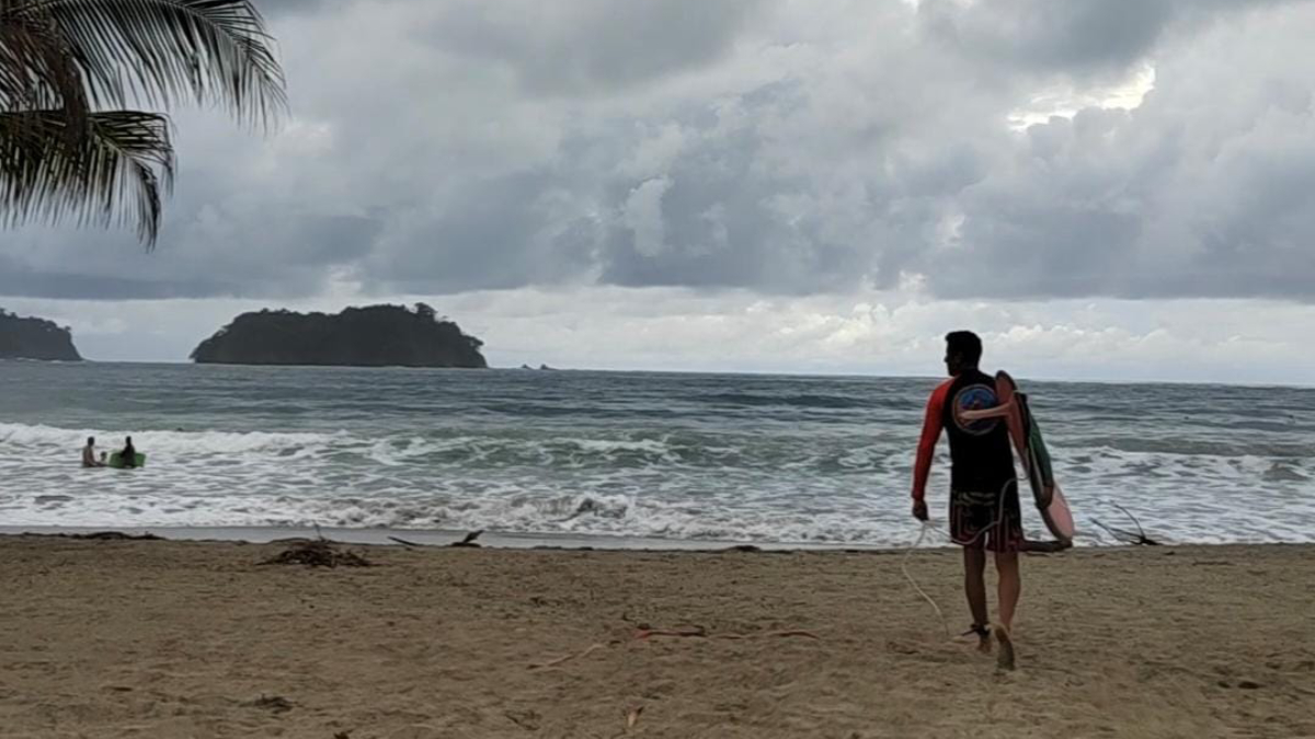 surf
