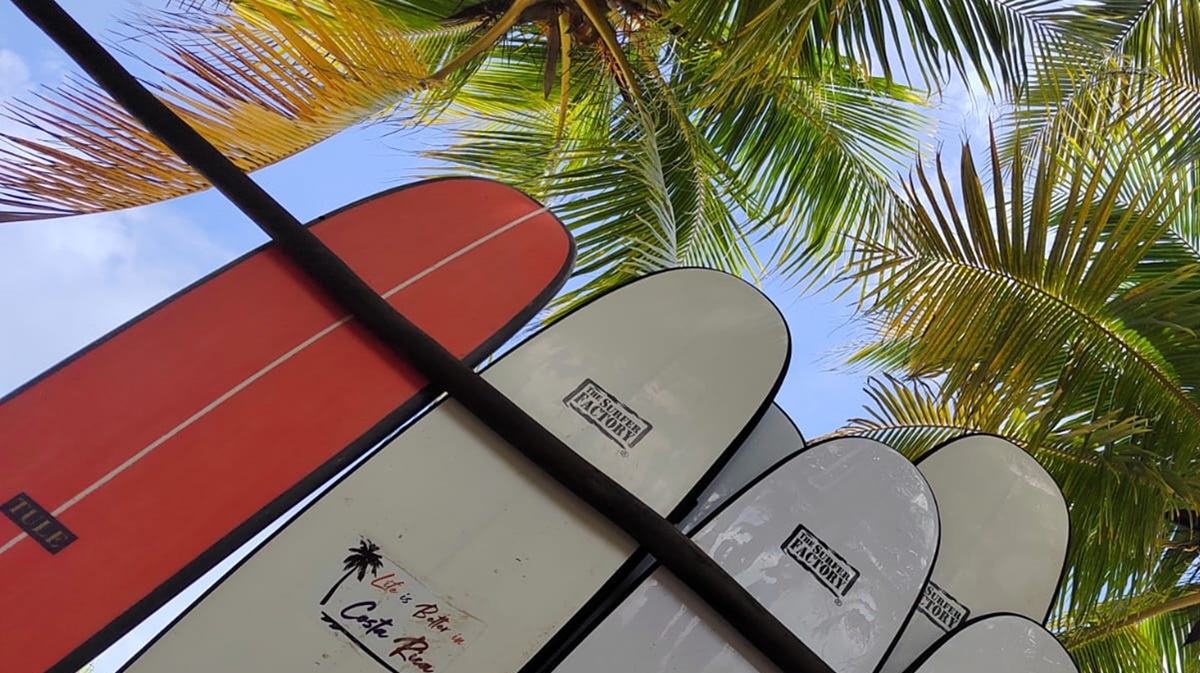 surf